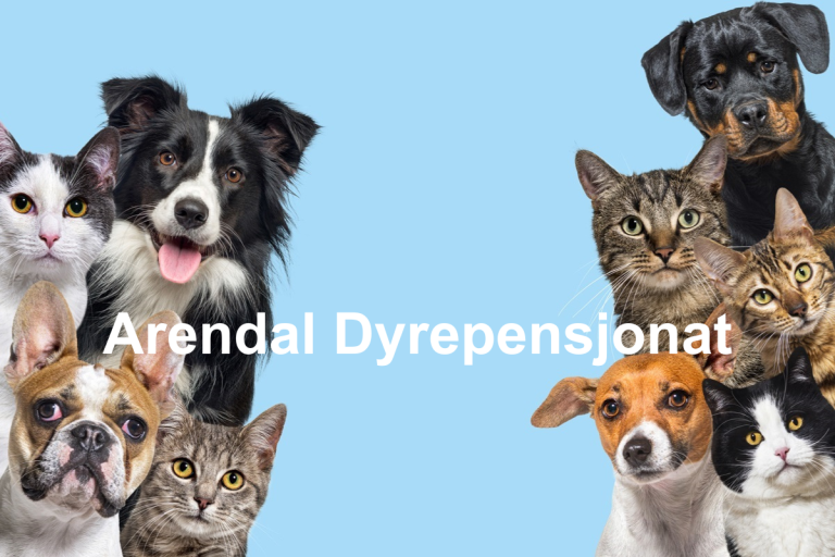 Arendal Dyrepensjonat 768x512