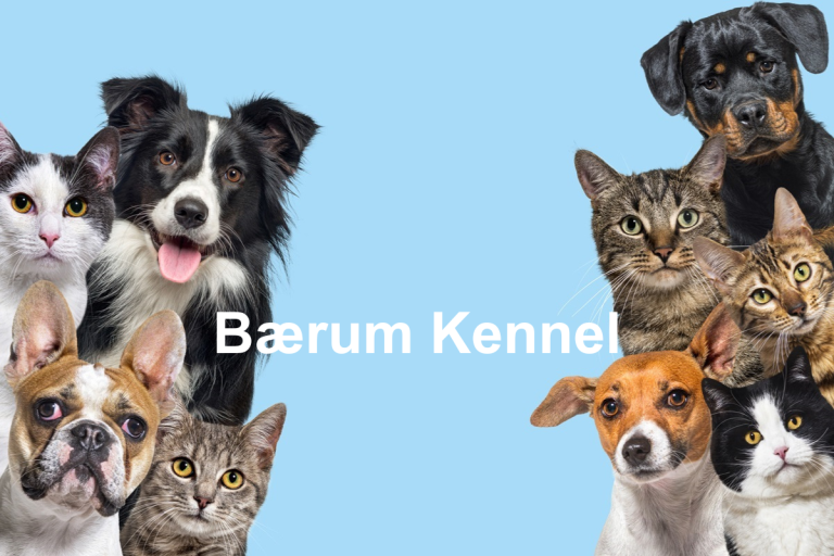 Baerum Kennel  768x512