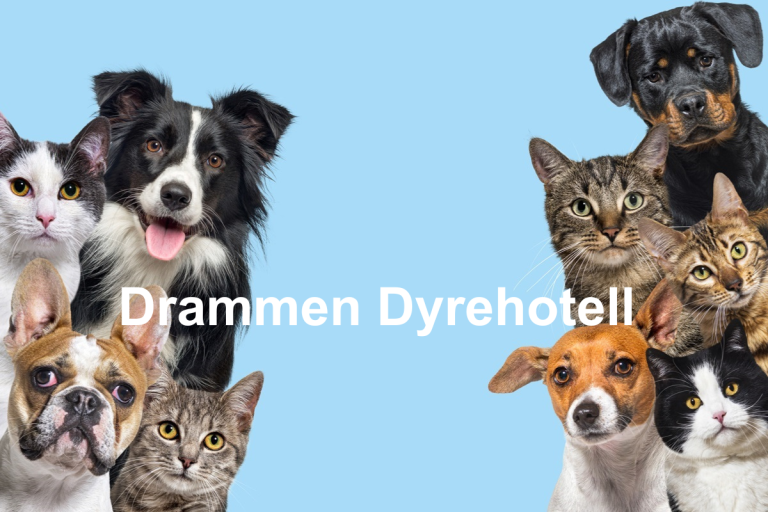Drammen Dyrehotell 768x512