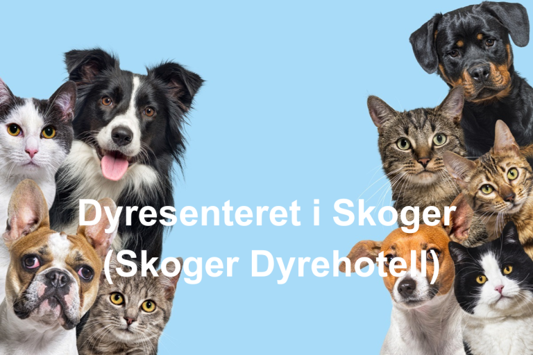 Dyresenteret i Skoger  Skoger Dyrehotell 768x512