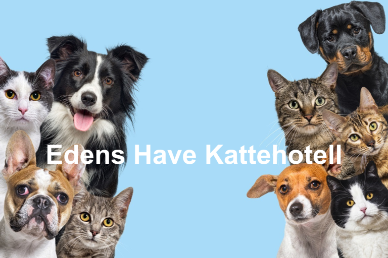 Edens Have Kattehotell  768x512