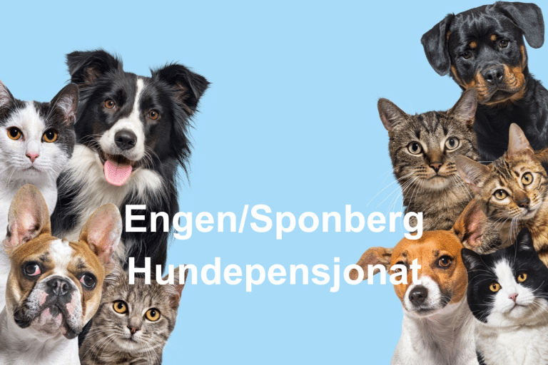EngenSponberg Hundepensjonat  768x512