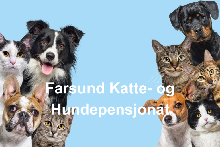 Farsund Katte og Hundepensjonat 768x512