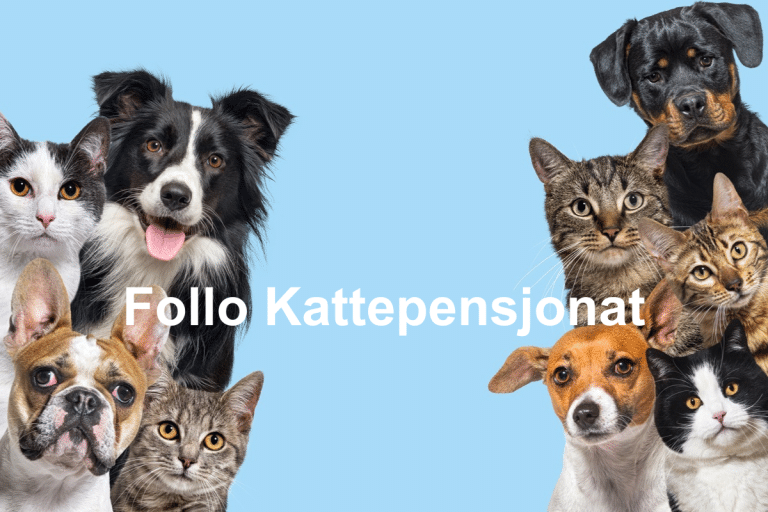 Follo Kattepensjonat 1 768x512