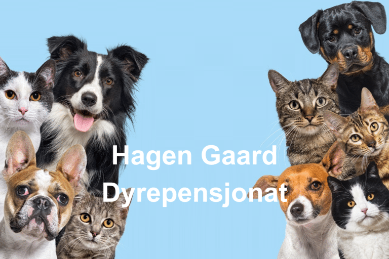 Hagen Gaard Dyrepensjonat 768x512