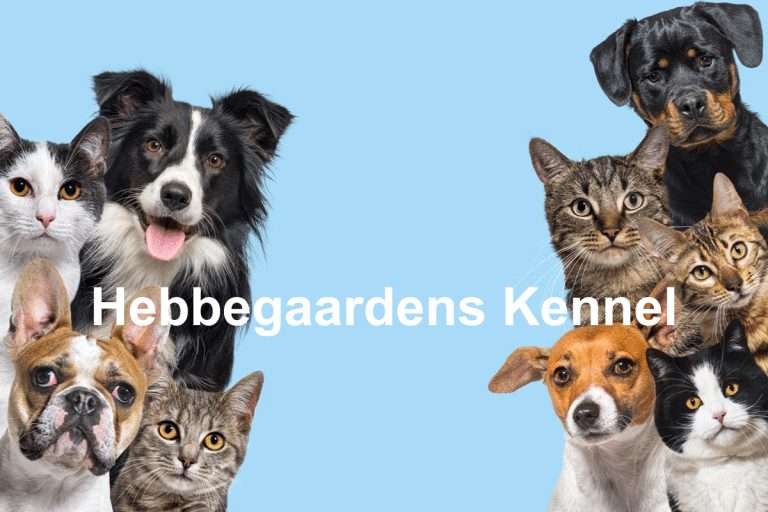 Hebbegaardens Kennel 1 768x512