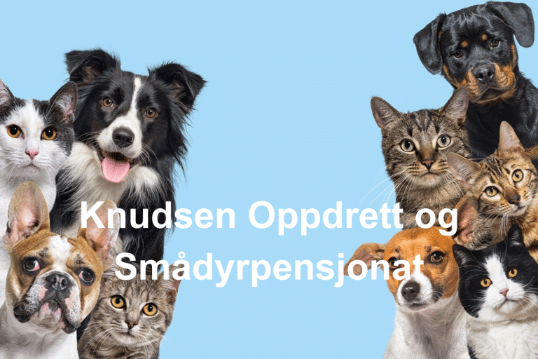 Knudsen Oppdrett og Smadyrpensjonat 768x512
