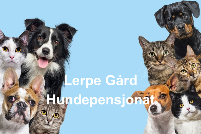 Lerpe Gard Hundepensjonat  768x512