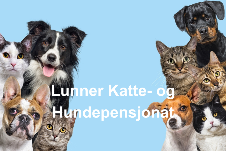 Lunner Katte og Hundepensjonat 768x512
