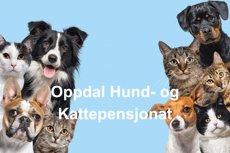 Oppdal Hund og Kattepensjonat  768x512