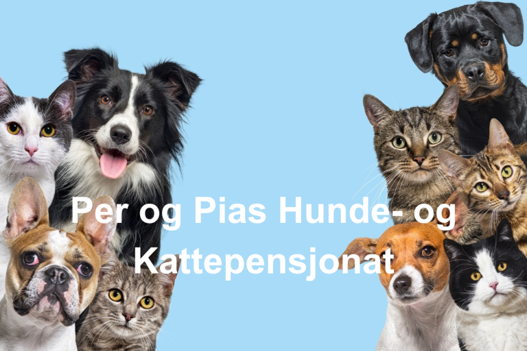 Per og Pias Hunde og Kattepensjonat  768x512