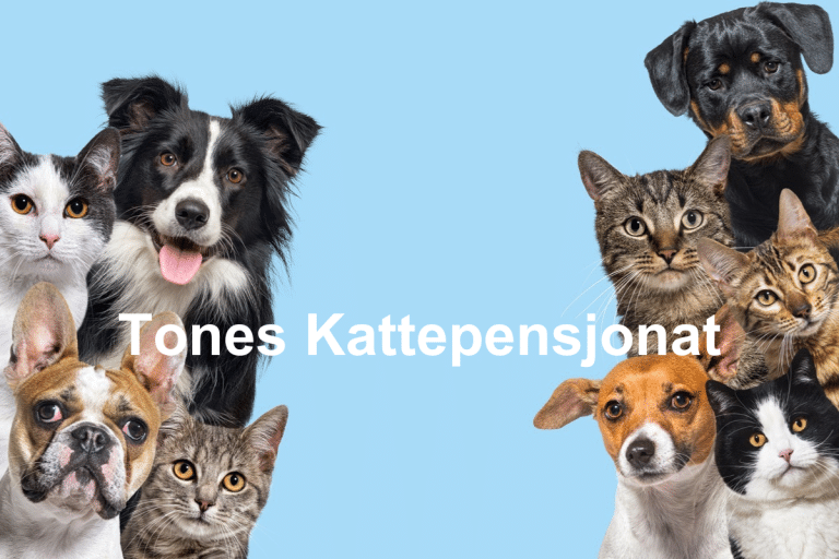 Tones Kattepensjonat 768x512