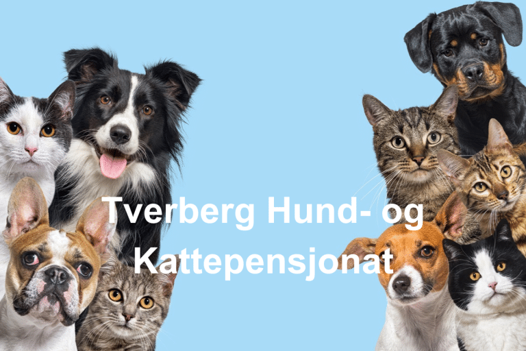 Tverberg Hund og Kattepensjonat 768x512