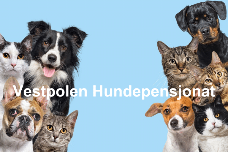 Vestpolen Hundepensjonat  768x512