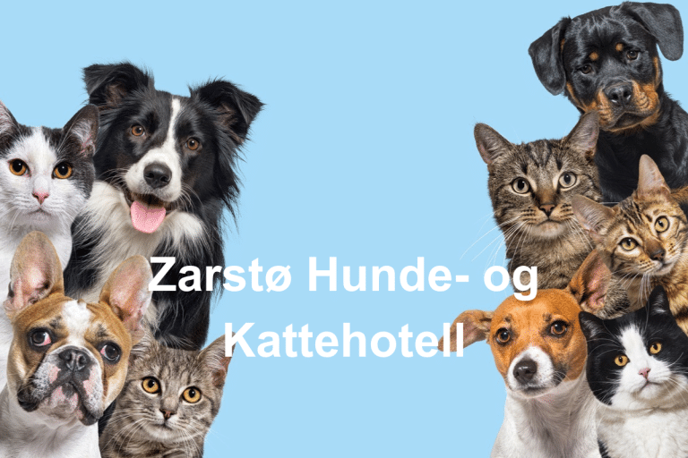 Zarsto Hunde og Kattehotell 768x512